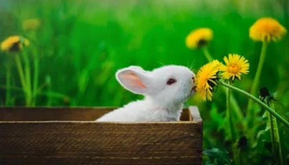 金沙娱乐注册|足球赛事v2.2.5